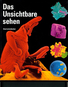 Leiendecker, Das Unsichtbare sehen. (Umschlag)