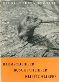 Hahn, Von Baum-, Busch- und Klippschliefern, den kleinen Verwandten der Seekühe (Umschlag)