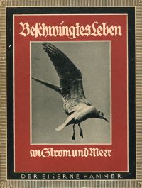 Grenzemann, Beschwingtes Leben an Strom und Meer. (Umschlag)