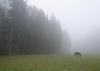 bildreich\bildreich_1102.jpg